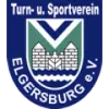 TSV 1880 Elgersburg