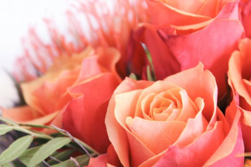 Herzlichen Glückwunsch und ein dickes Danke an unsere Frauen