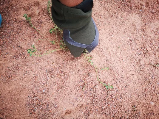 CleanUpDay Hartplatz