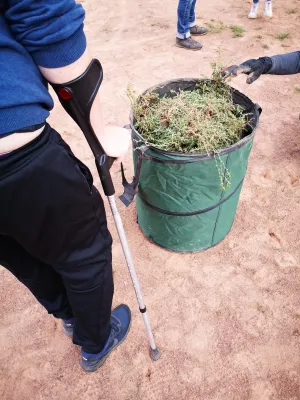 CleanUpDay Hartplatz