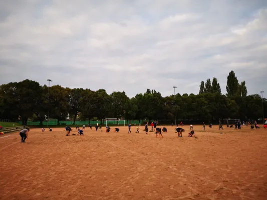 CleanUpDay Hartplatz
