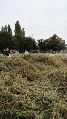 CleanUpDay Hartplatz