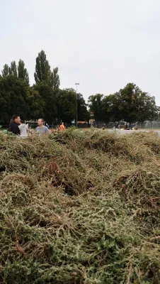CleanUpDay Hartplatz