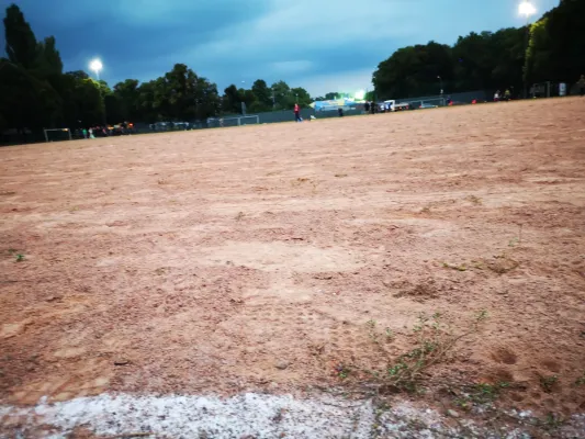 CleanUpDay Hartplatz