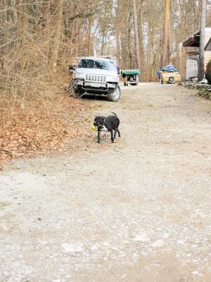 Wintertrainingslager 1. + 2. Männer