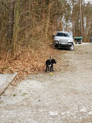 Wintertrainingslager 1. + 2. Männer