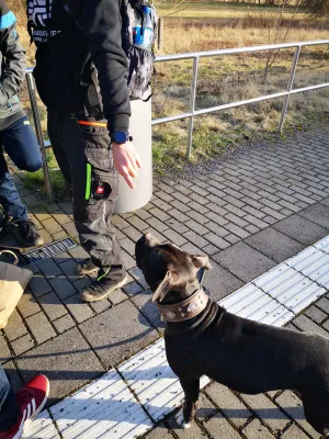 Wintertrainingslager 1. + 2. Männer