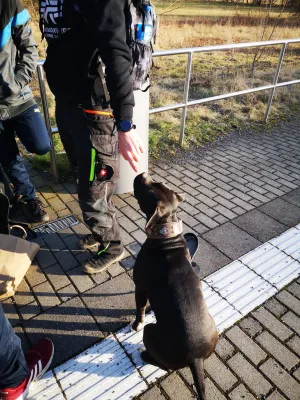 Wintertrainingslager 1. + 2. Männer