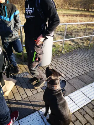 Wintertrainingslager 1. + 2. Männer