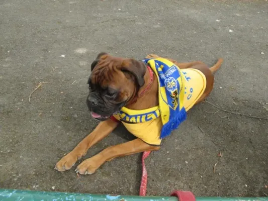 D-Junioren - Pokalfinale 2012 gegen VfB Oberweimar