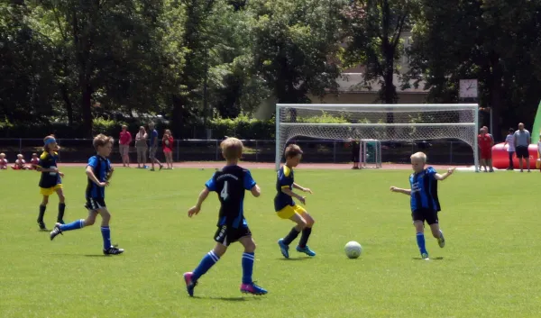 Sommer-Cup 2017 - E1-Junioren