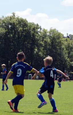 Sommer-Cup 2017 - E1-Junioren