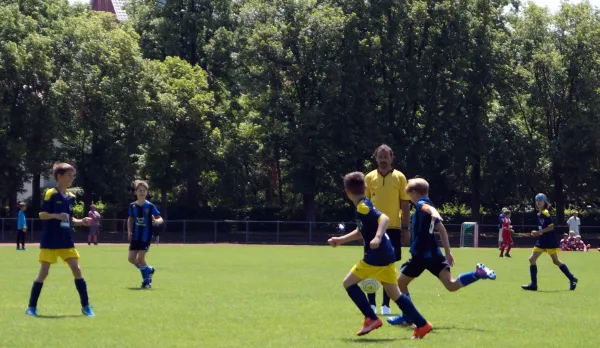 Sommer-Cup 2017 - E1-Junioren