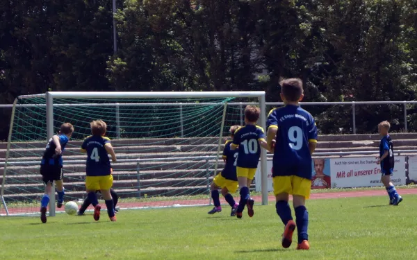 Sommer-Cup 2017 - E1-Junioren