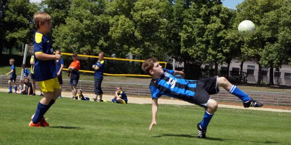 Sommer-Cup 2017 - E1-Junioren