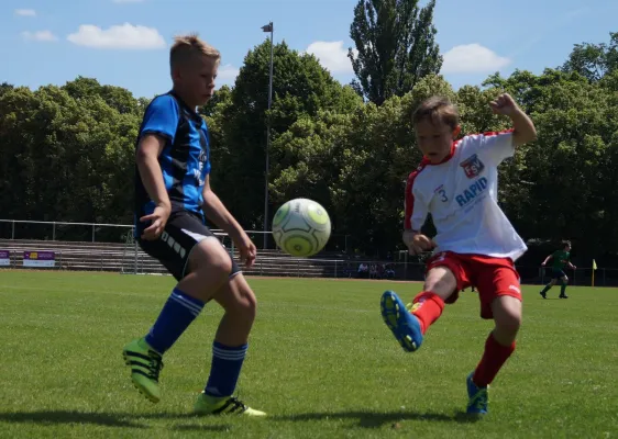 Sommer-Cup 2017 - E1-Junioren