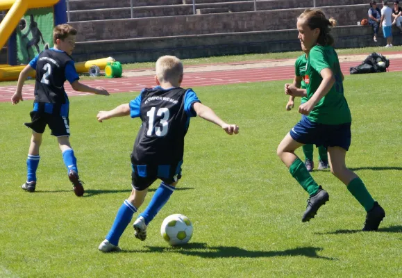 Sommer-Cup 2017 - E1-Junioren