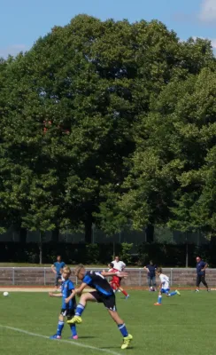 Sommer-Cup 2017 - E1-Junioren