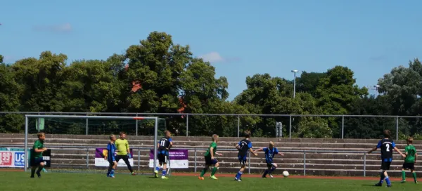 Sommer-Cup 2017 - E1-Junioren