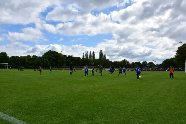 Sommer-Cup 2017 - F-Junioren