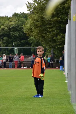 Sommer-Cup 2017 - F-Junioren