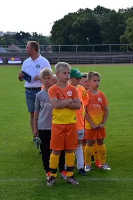 Sommer-Cup 2017 - F-Junioren