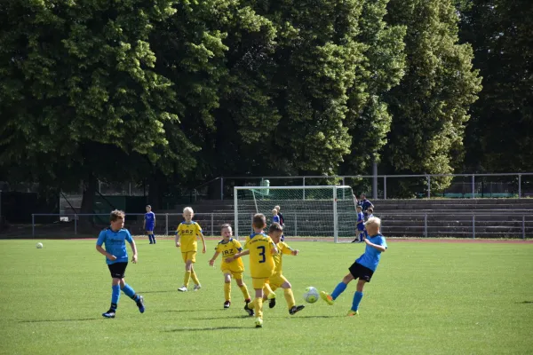Sommer-Cup 2017 - F-Junioren
