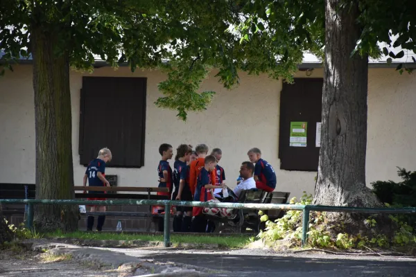 Sommer-Cup 2017 - F-Junioren