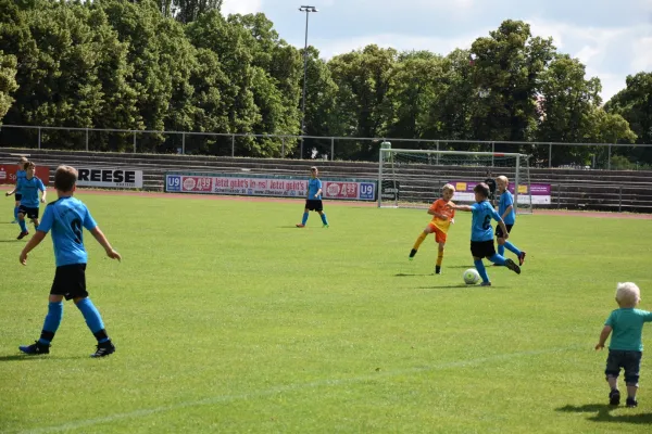 Sommer-Cup 2017 - F-Junioren