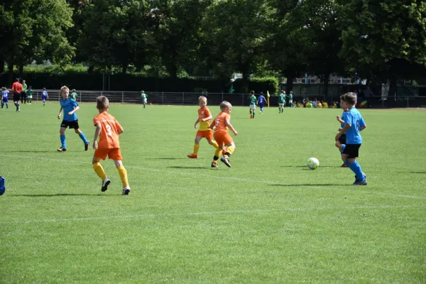 Sommer-Cup 2017 - F-Junioren