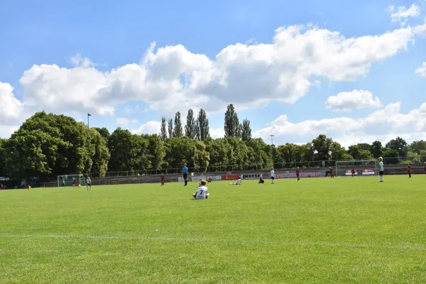 Sommer-Cup 2017 - F-Junioren