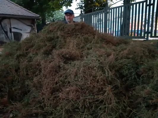 CleanUp Hartplatz am 17.09.2021
