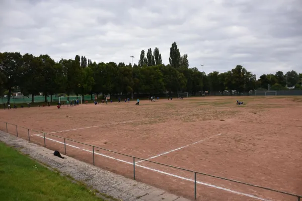 CleanUp Hartplatz am 17.09.2021