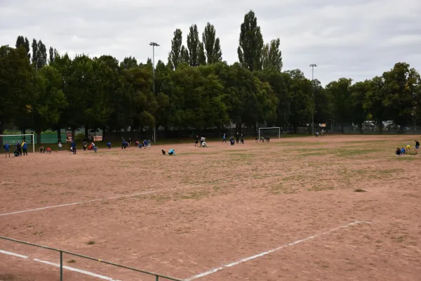 CleanUp Hartplatz am 17.09.2021