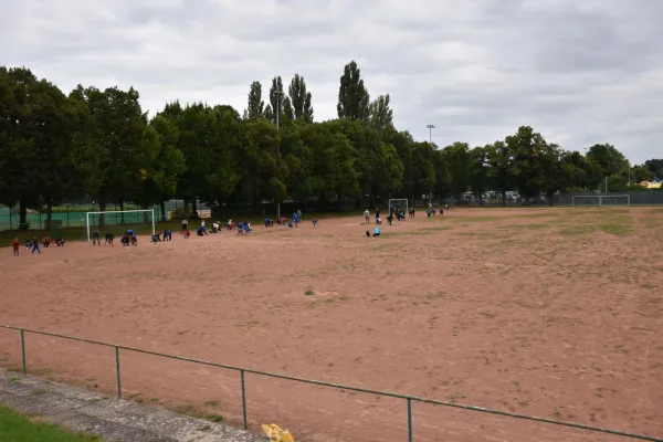CleanUp Hartplatz am 17.09.2021
