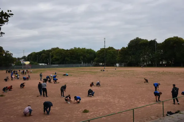 CleanUp Hartplatz am 17.09.2021