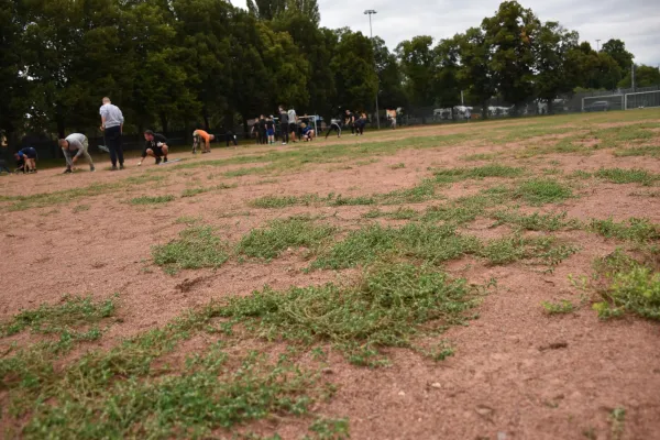 CleanUp Hartplatz am 17.09.2021