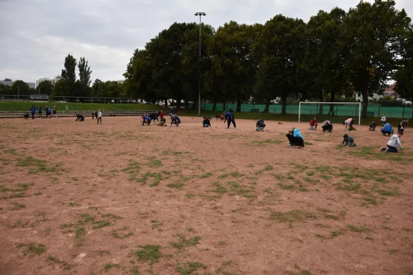 CleanUp Hartplatz am 17.09.2021