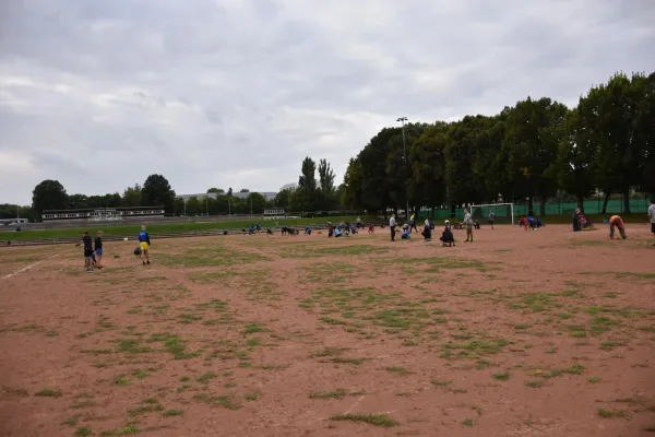 CleanUp Hartplatz am 17.09.2021