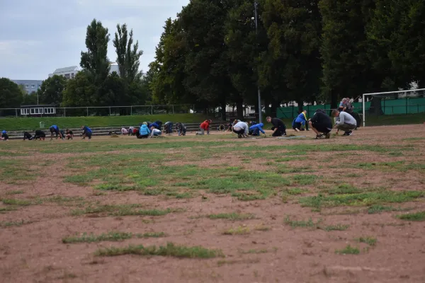 CleanUp Hartplatz am 17.09.2021