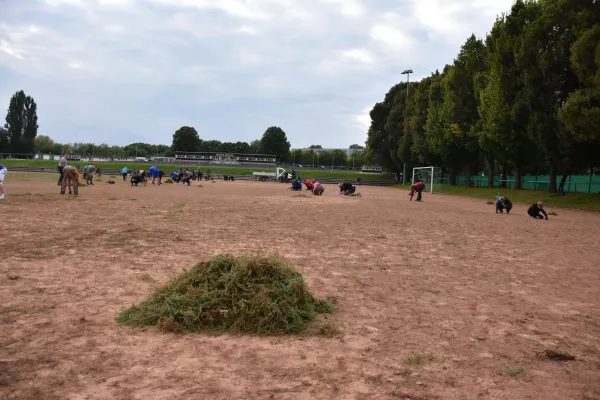 CleanUp Hartplatz am 17.09.2021