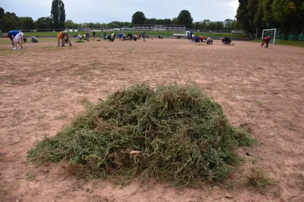 CleanUp Hartplatz am 17.09.2021