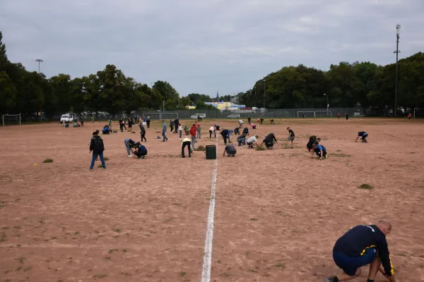CleanUp Hartplatz am 17.09.2021