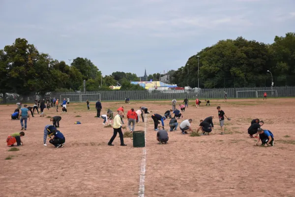CleanUp Hartplatz am 17.09.2021