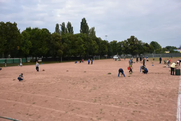 CleanUp Hartplatz am 17.09.2021