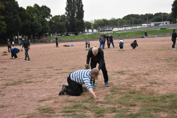 CleanUp Hartplatz am 17.09.2021