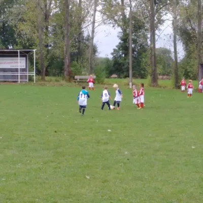 03.10.2016 Weimarer SV (F) vs. FC Empor Weimar 06