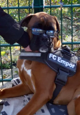 31.10.2018 FC Empor Weimar 06 vs. FSV BW 90 Stadtilm