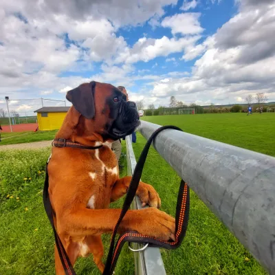 23.04.2023 SG Spfr. Elxleben vs. FC Empor Weimar 06