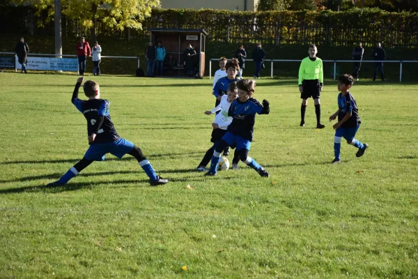 04.11.2023 SG FV BW Niederz. 1 vs. FC Empor Weimar 06 II